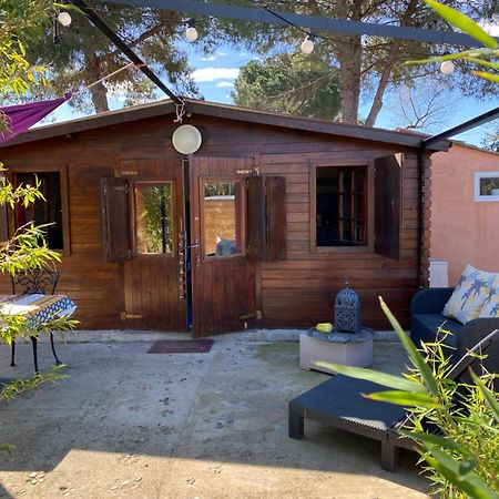 Chalet Des Oliviers 20Mn Des Plages Climatise 베지에 외부 사진